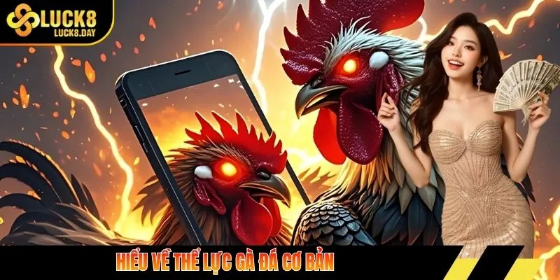 Hiểu về thể lực gà đá cơ bản