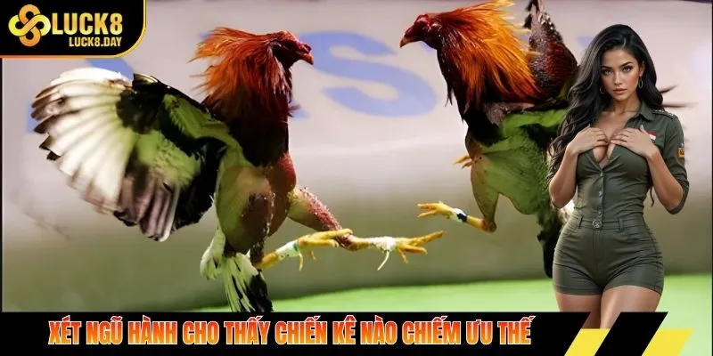 Xét ngũ hành cho thấy chiến kê nào chiếm ưu thế