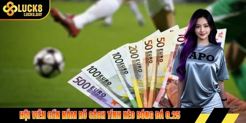 Hội viên cần nắm rõ cách tính kèo bóng đá 0.25
